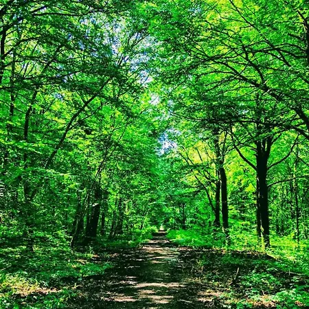 Lägenhet With Garden Villerupt