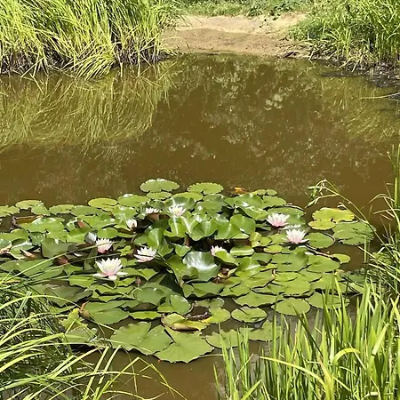 With Garden * Villerupt