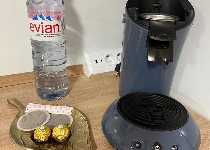 Lägenhet With Garden Villerupt