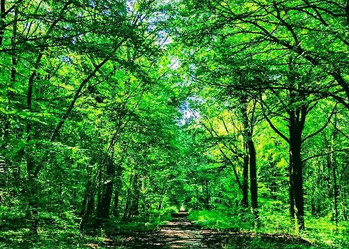 Lägenhet With Garden Villerupt