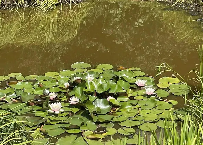 With Garden * Villerupt